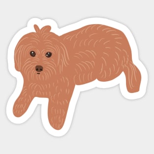 Brown Maltipoo Sticker